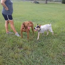 Officer Cash Memorial Dog Park
